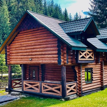 У Віти Котедж4 Synevyrs'ka Polyana Exterior photo